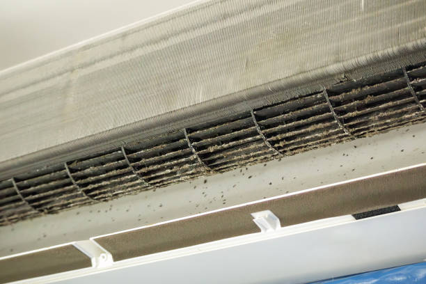 Best HVAC Duct Inspection Services  in Rosemount, MN